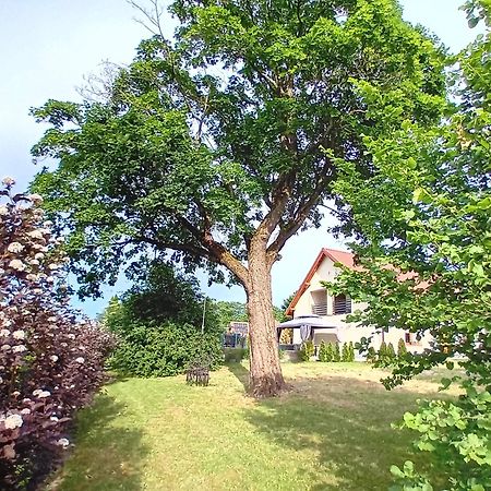 Pokoje Goscinne Sloneczny Klon Dabrowno Esterno foto
