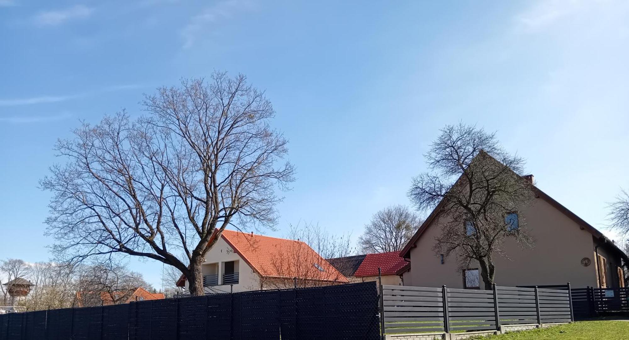 Pokoje Goscinne Sloneczny Klon Dabrowno Esterno foto