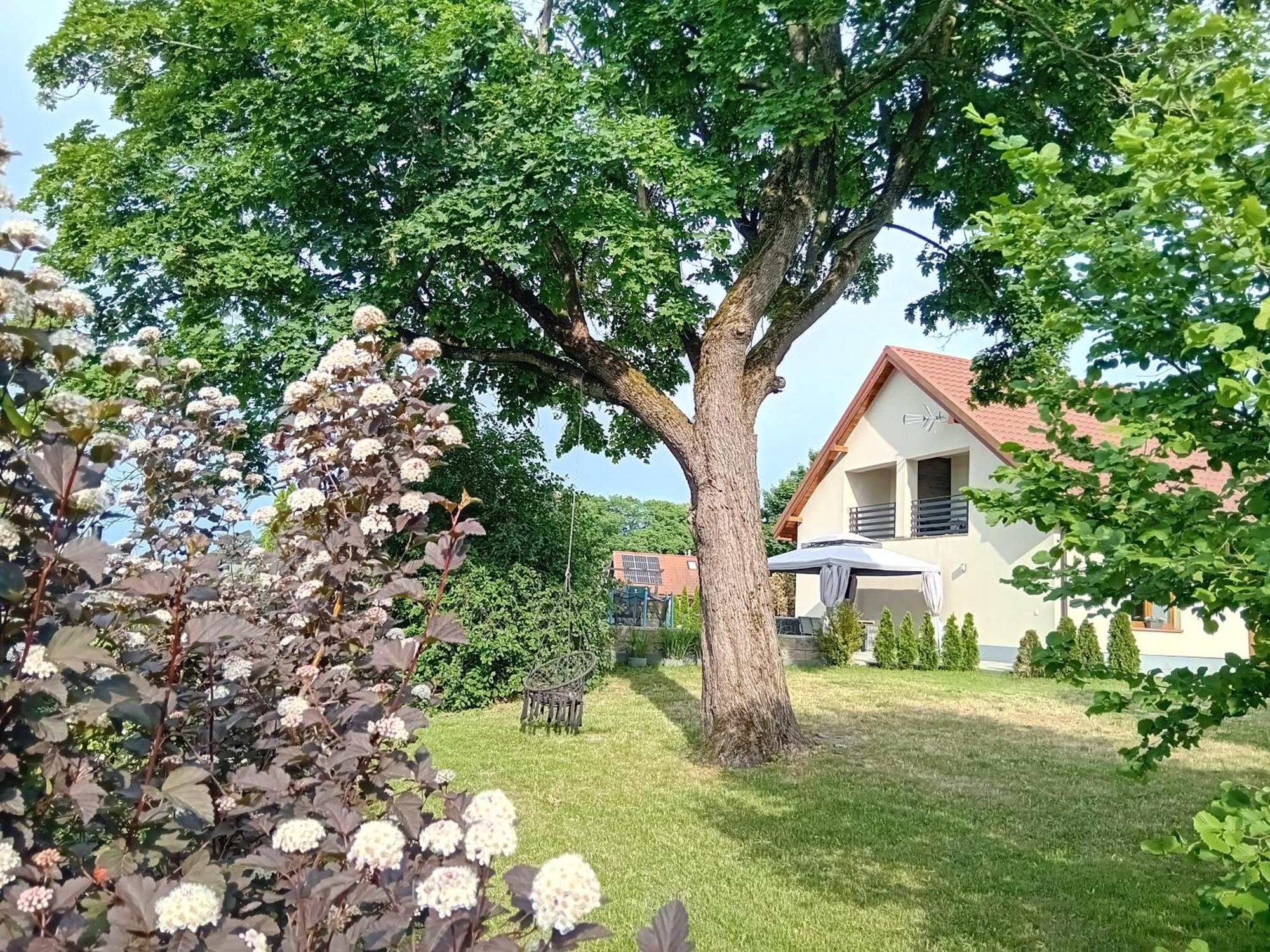 Pokoje Goscinne Sloneczny Klon Dabrowno Esterno foto