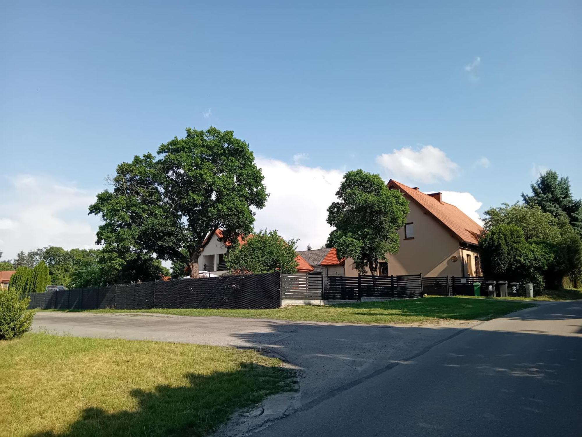 Pokoje Goscinne Sloneczny Klon Dabrowno Esterno foto