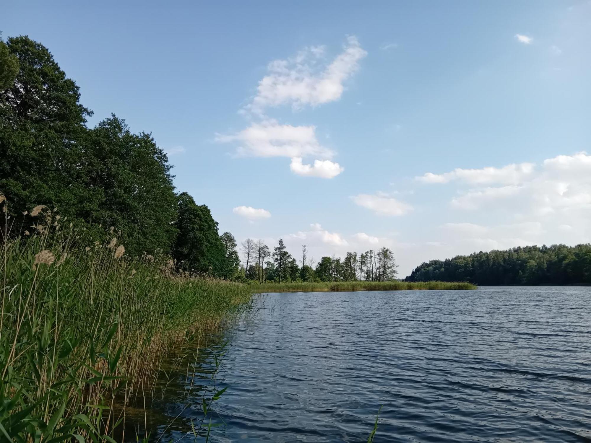 Pokoje Goscinne Sloneczny Klon Dabrowno Esterno foto