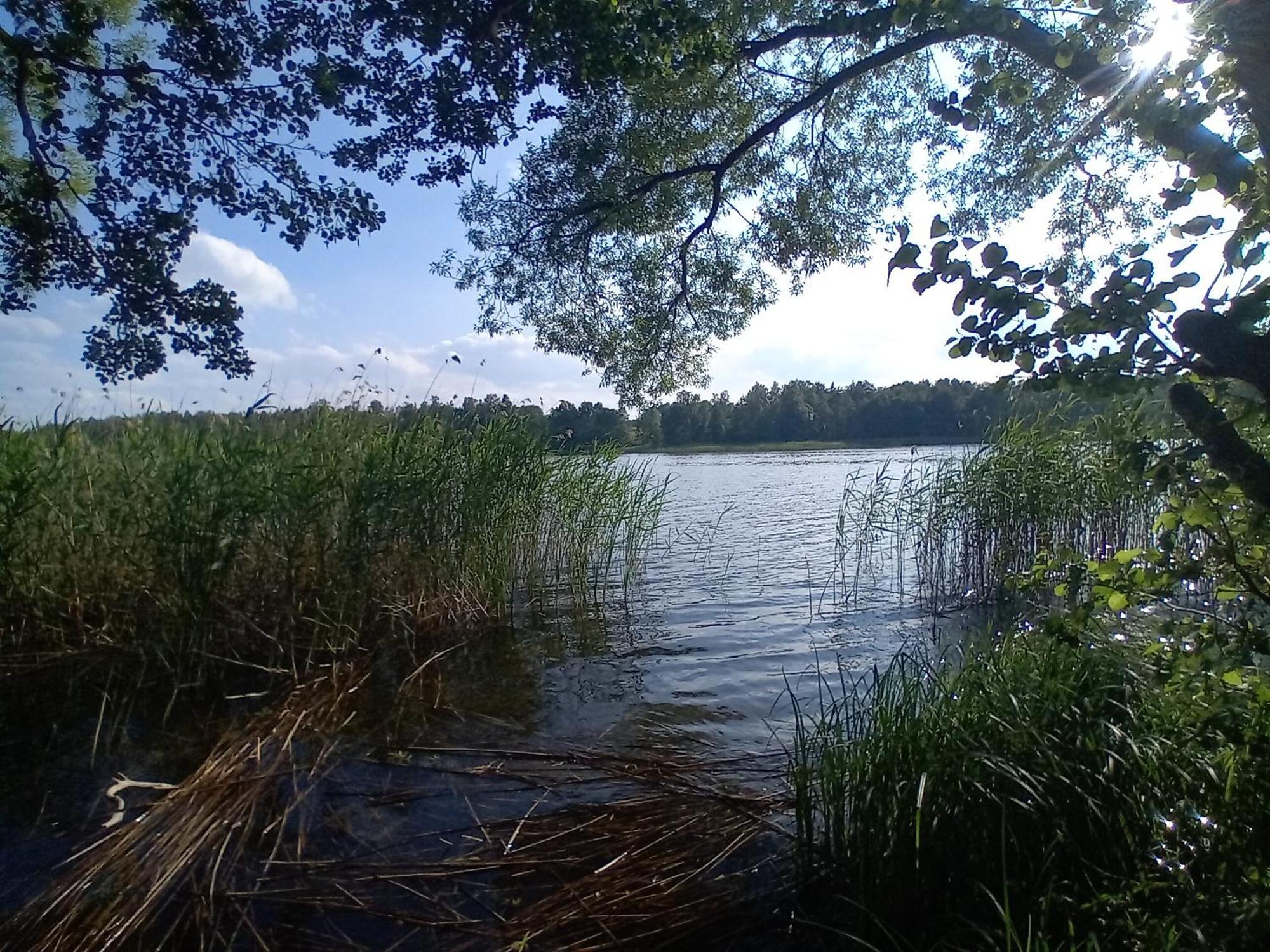 Pokoje Goscinne Sloneczny Klon Dabrowno Esterno foto