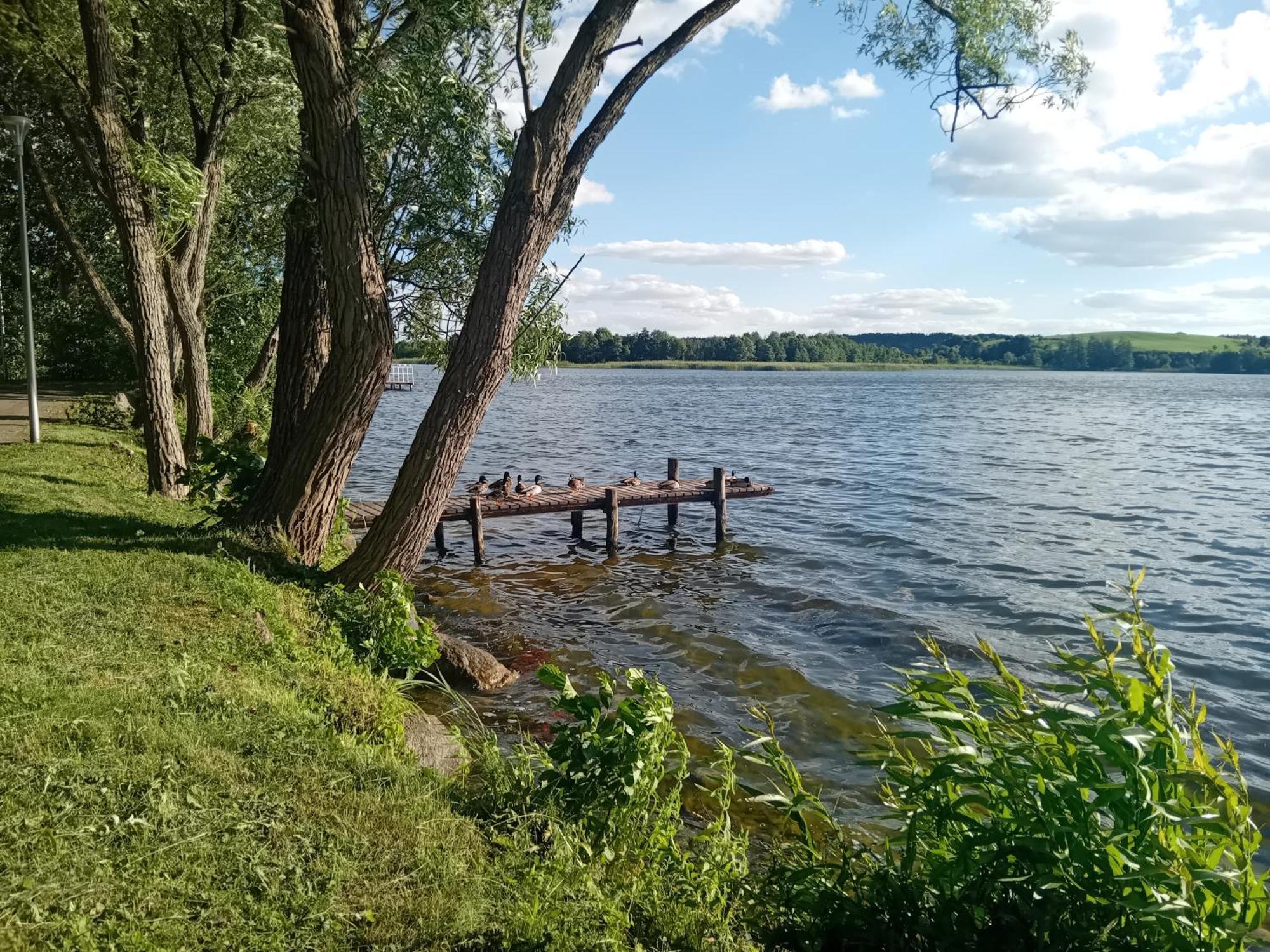 Pokoje Goscinne Sloneczny Klon Dabrowno Esterno foto