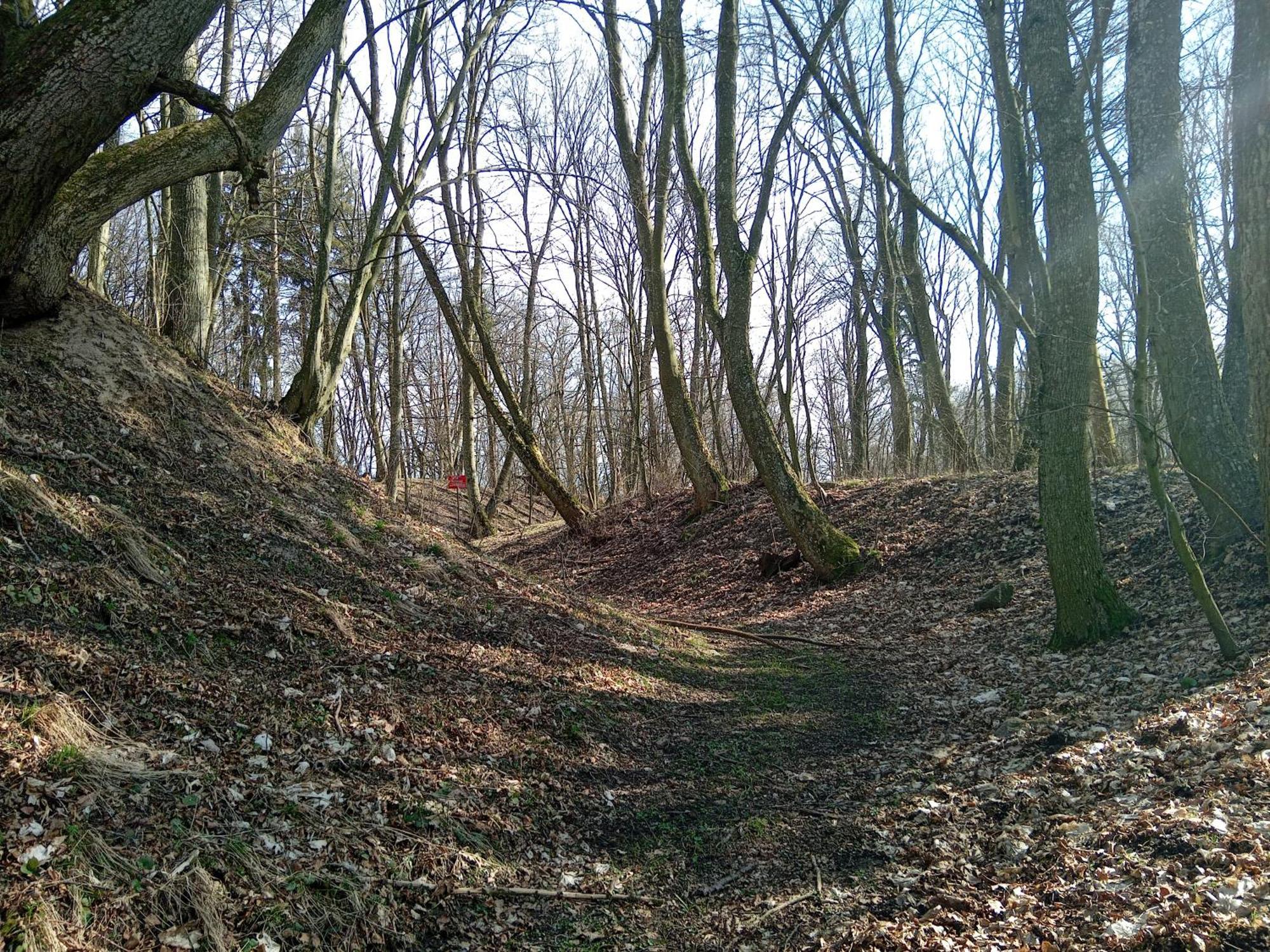 Pokoje Goscinne Sloneczny Klon Dabrowno Esterno foto