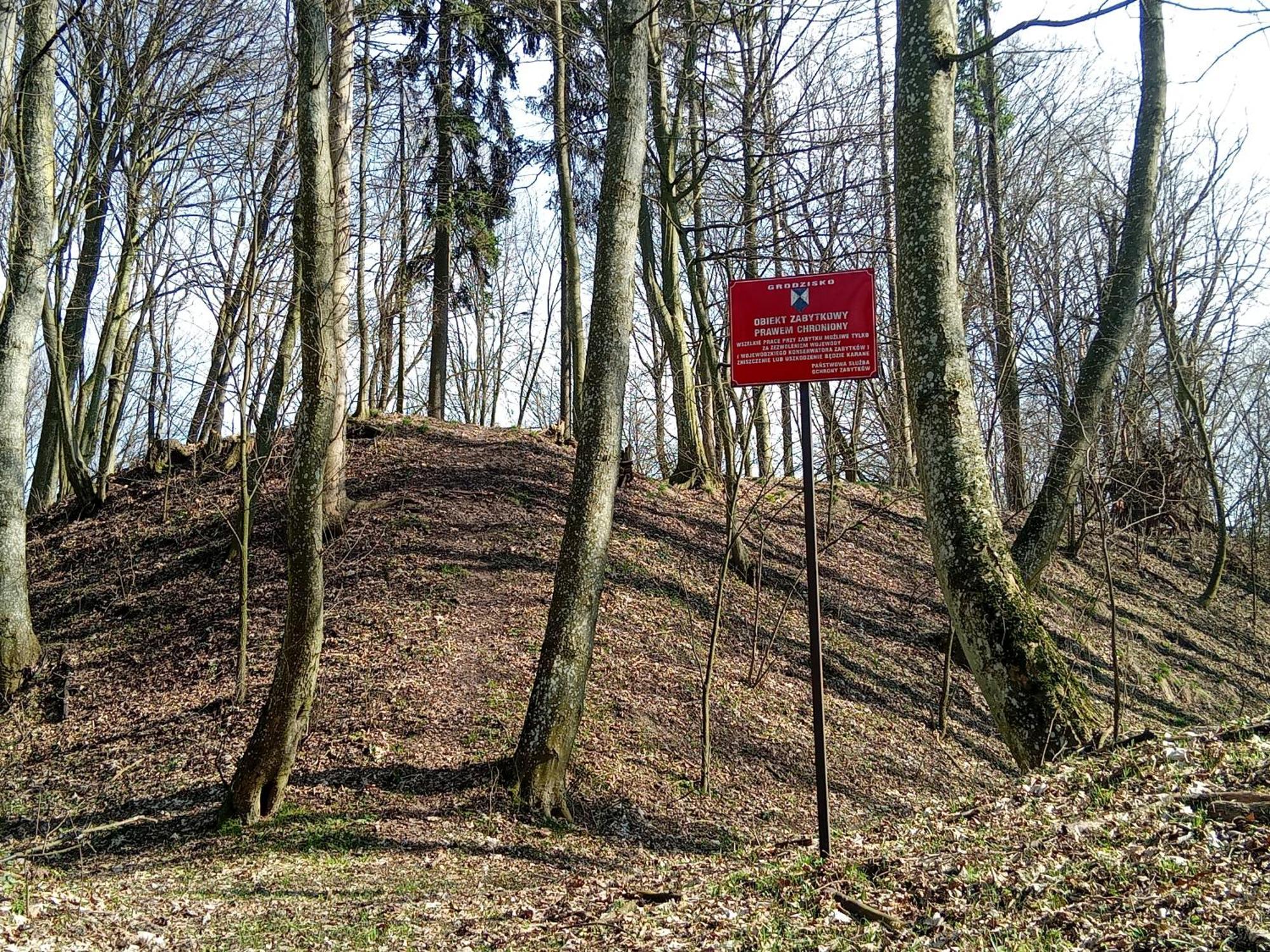 Pokoje Goscinne Sloneczny Klon Dabrowno Esterno foto