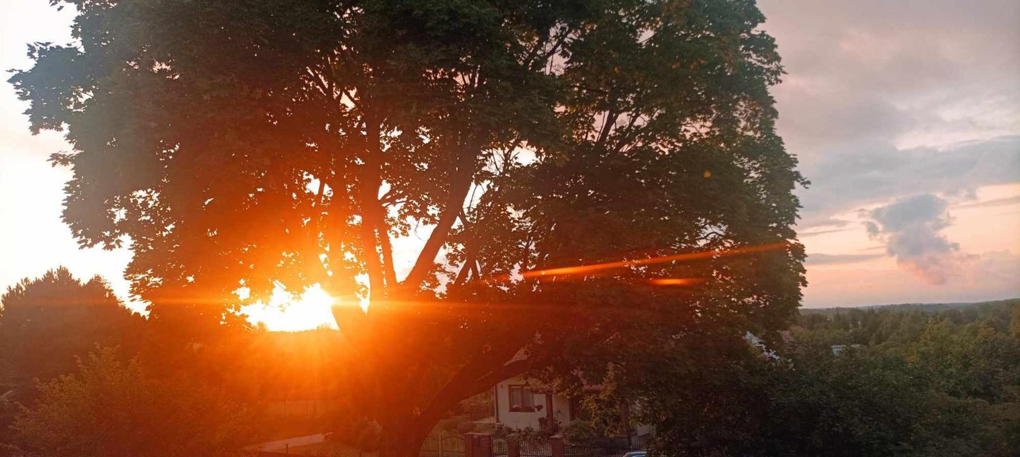 Pokoje Goscinne Sloneczny Klon Dabrowno Esterno foto