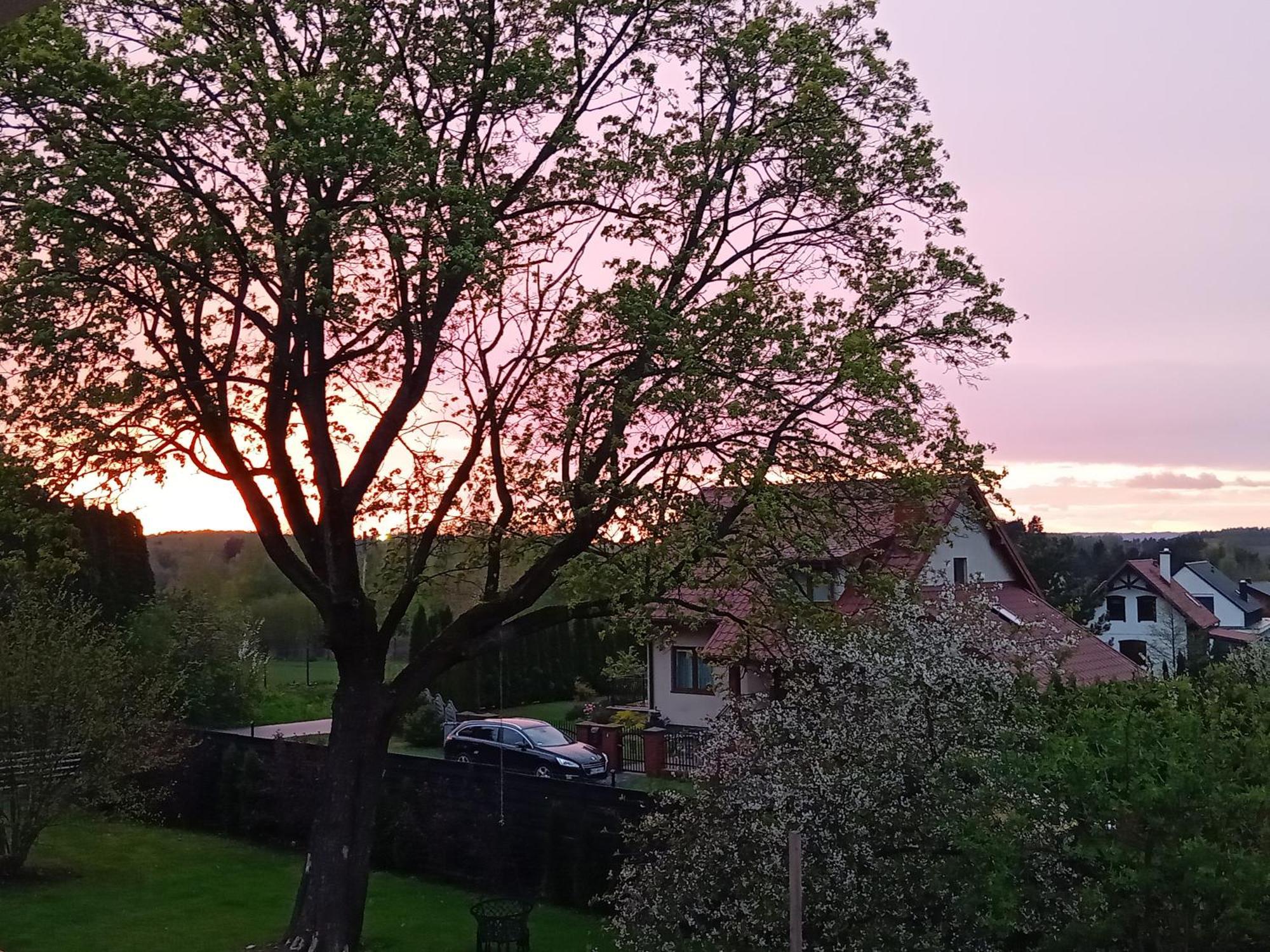 Pokoje Goscinne Sloneczny Klon Dabrowno Camera foto