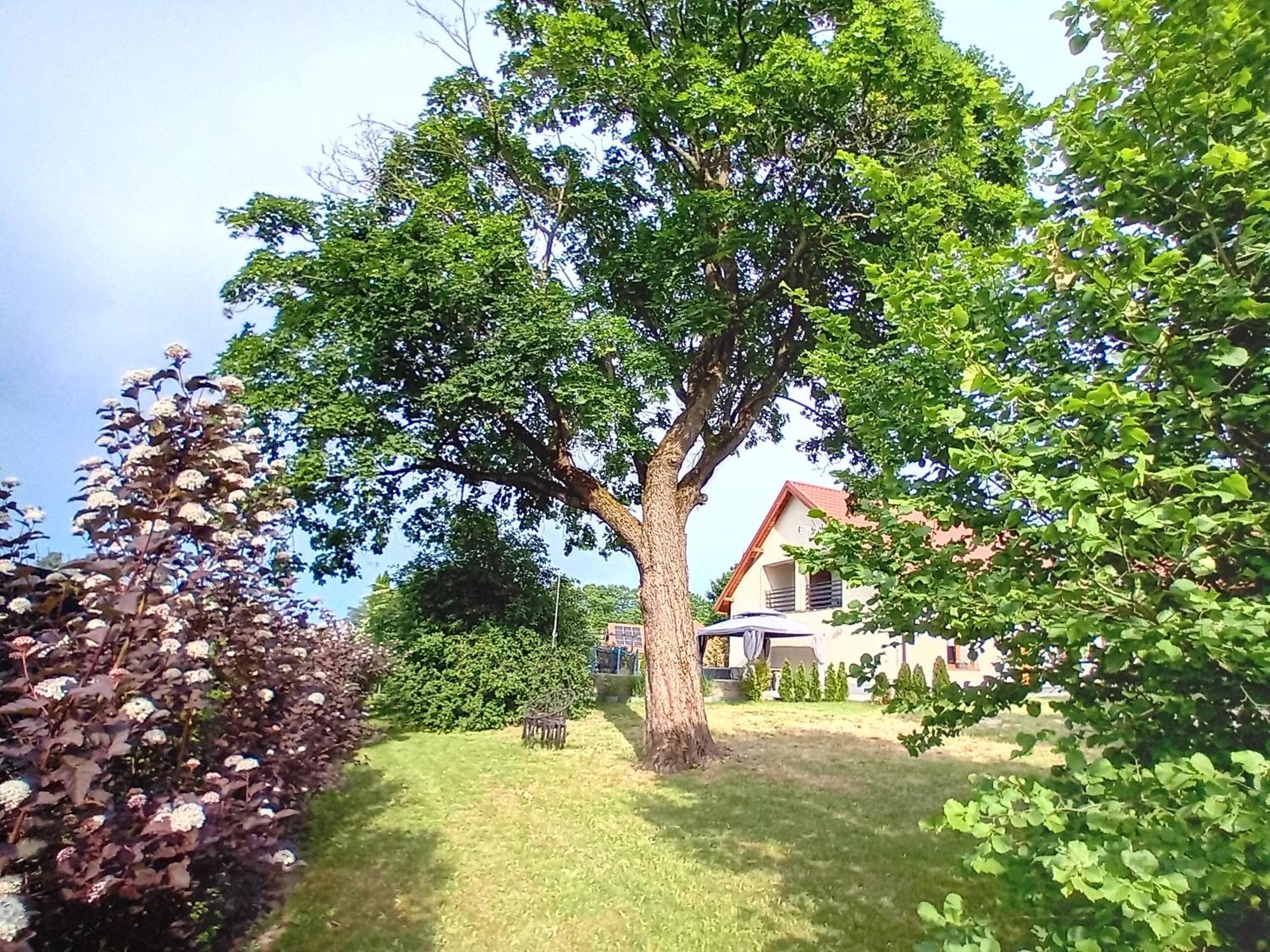 Pokoje Goscinne Sloneczny Klon Dabrowno Esterno foto